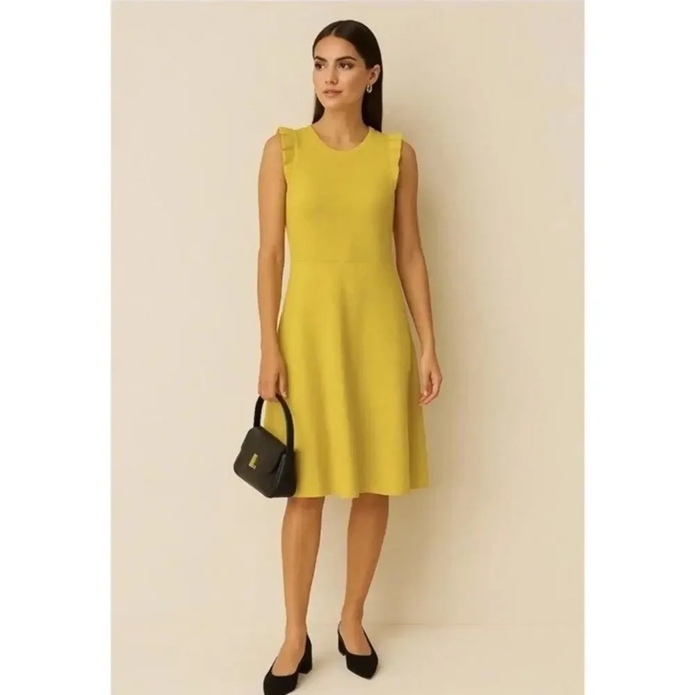 Ann Taylor NWT Ruffle Sleeve Midi Dress Size LT